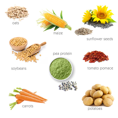 Ingredients and nutrients in Evolution Diet products